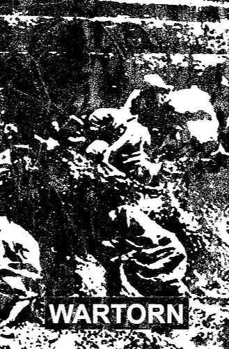 The cover of Wartorn