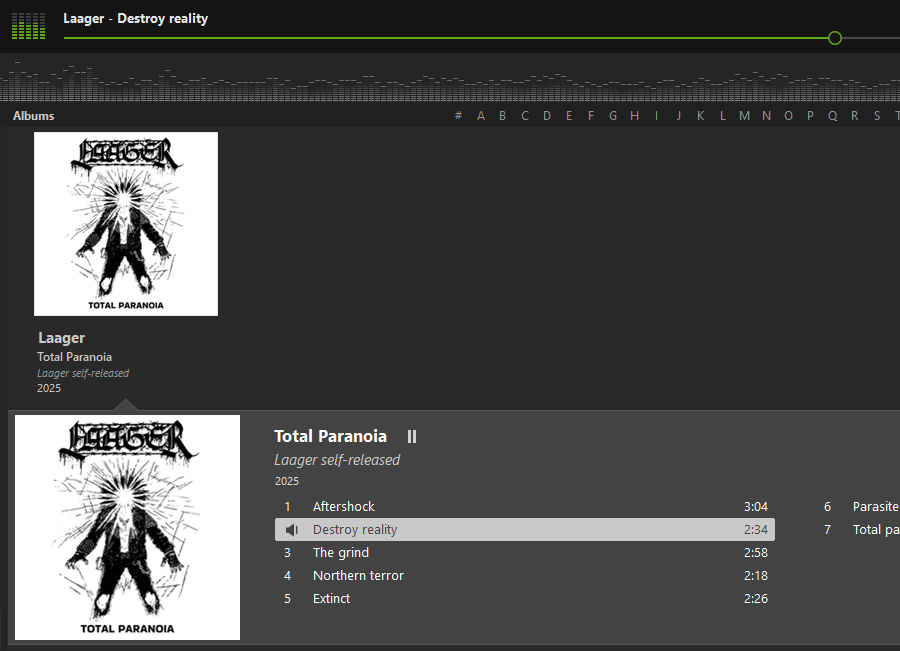 A screenshot of Total Paranoia playing in my music player, MusicBee
